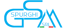 cropped GSM logo e1772035242667